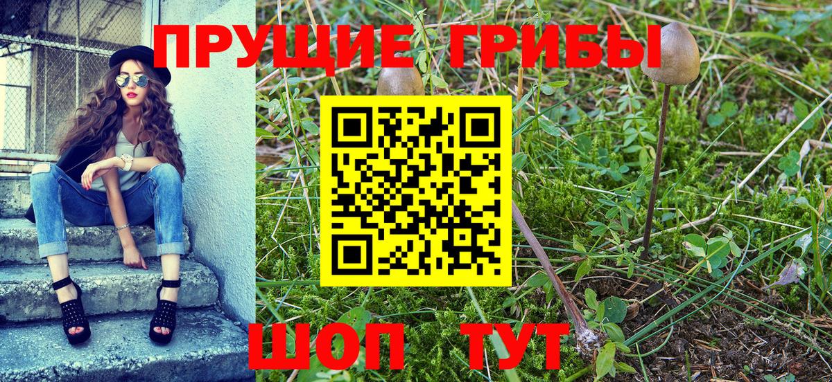 Галлюциногенные грибы GOLDEN TEACHER  Псилоцибиновые грибы GOLDEN TEACHER  Вход с VPN  Электрогорск 
